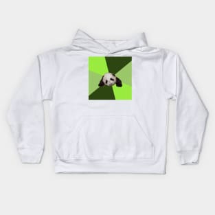 Passive Aggressive Panda Meme Kids Hoodie